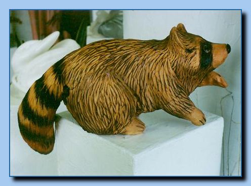 2-19 raccoon-archive